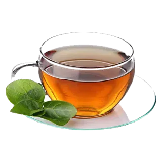 ВЫПИВКА 2.0 whatsapp stickers