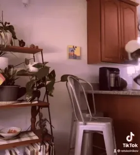 😈 10c6424a ratskolnikov tiktok, nome de usuário whatsapp sticker