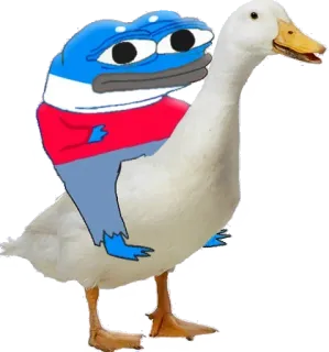🦢 6e54f724 Pepe the Frog Meme, Pepe, Rana, Pato, Animal, Dibujo animado telegram sticker