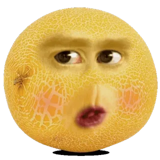 🍽 174b4fbe melon, buah, wajah, lucu, meme, ekspresi, cantaloupe whatsapp sticker