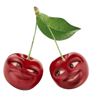 🍒 1902d99b cherries, fruit, cartoon, emoticon, food telegram sticker
