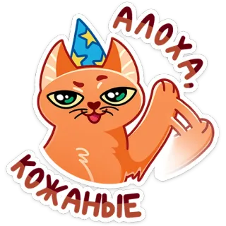 👋 3902c3ff Алоха! Кожаные kat, feest, middelvinger, aanstootgevend, gebaar, russisch, cartoon whatsapp sticker