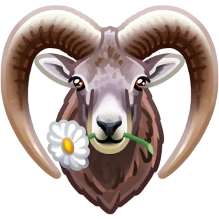 WWF telegram stickers