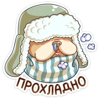 Булька :: @stickroom telegram stickers