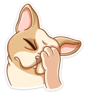 🤦‍♀️ f45318f7 猫, 捂脸, 尴尬, 卡通, 表情, 可爱, 动物 telegram sticker