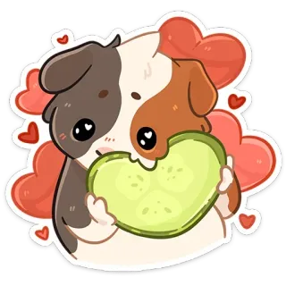 🥰 62ddd8c1 морская свинка, милый, сердечки, любовь, животное, наклейка, каваий, домашнее животное telegram sticker