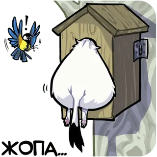 🍑 8451a734 ЖОПА Cartone animato, Uccello, Nido, Umorismo, Animale, Carino telegram sticker