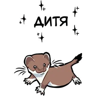 👦 b6c23731 AMIRI ermellino, donnola, animale, carino, cartone animato, adesivo, Amiri telegram sticker