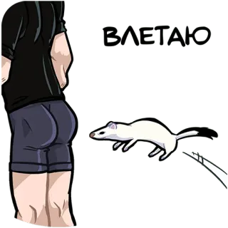 🚀 b769fb2a BASTARDO animale, furetto, linguaggio offensivo, insulto telegram sticker