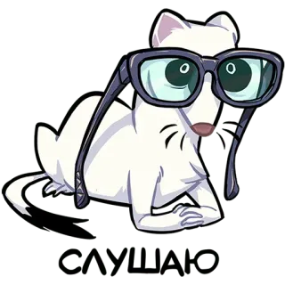 🤓 c39647e3 CYRILLO ermellino, occhiali, animale cartone animato, furry, carino, leggere, animale domestico telegram sticker