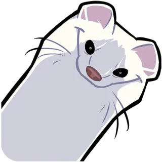 🙂 de122dfa donnola, ermellino, animale, carino, adesivo telegram sticker