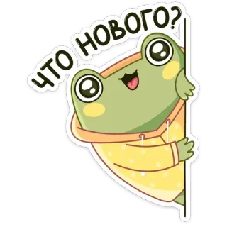 ☺️ 4317270b ЧТО НОВОГО? กบ, การ์ตูน, ทักทาย, รัสเซีย, น่ารัก, แอนิเมชัน whatsapp sticker