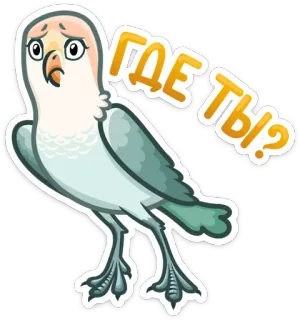 😕 0c8cd659 ГДЕ ТЫ!? pássaro, papagaio, pergunta, busca, onde você está, fofo, adesivo whatsapp sticker