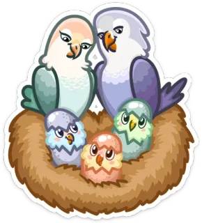 👨 c2fba55c pássaros, agapornis, família, ovos, ninho, fofo whatsapp sticker
