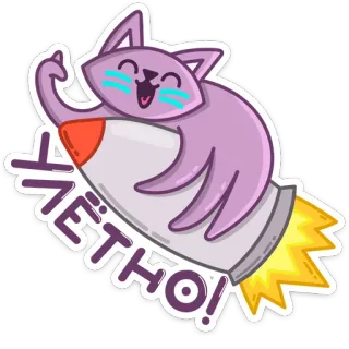 🚀 b3103423 ЛЕТНО! 猫, 火箭, 飞行, 卡通, 动物 telegram sticker