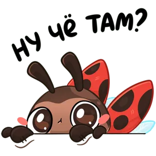 👀 38359407 Nu Ye Tam! божья коровка, мультфильм, милый, каваий, насекомое, жук telegram sticker