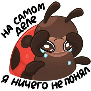 🥺 89bfc27b грустный, плачущий, божья коровка, насекомое, слезы, эмоциональный, мультик, стикер telegram sticker