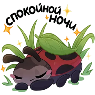 😴 def9291e спокойной ночи спокойной ночи, божья коровка, звезды, милый, сонный, насекомое, мультфильм telegram sticker