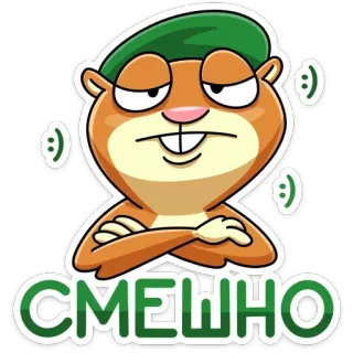 😑 722bc187 СМЕШНО dessin animé, animal, écureuil, drôle, texte, russe telegram sticker