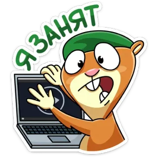 🤬 73273e63 Я ЗАНЯТ dessin animé, animal, écureuil, occupé, ordinateur portable, vidéo, mème telegram sticker
