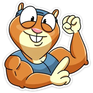 💪 d84c6170 écureuil, dessin animé, fitness, muscle, exercice, fort, animal, gym telegram sticker
