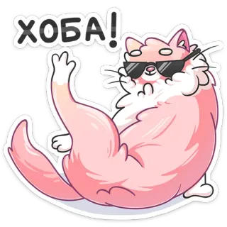 😎 058f7995 ХОБА! gatto, occhiali da sole, cool, rosa, adesivo, cartone animato, Hoba, divertente telegram sticker