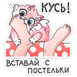 😈 608b4502 Кусь!
Вставай с постельки gatto, cartone animato, morso, piedi, russo, adesivo telegram sticker