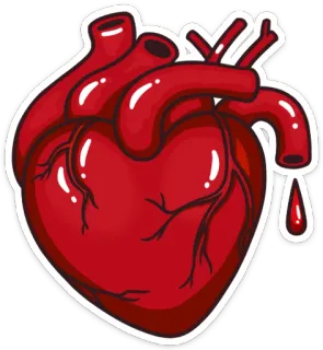 ❤ ff7e8ab6 cuore, anatomia, organo, medico, rosso, sangue, umano, scienza telegram sticker