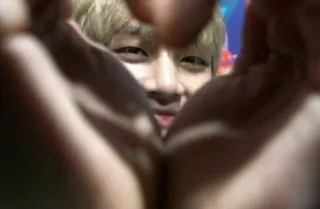 🌸 8681839d telegram sticker