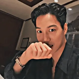 ᴏʟʜɴ.88 telegram stickers