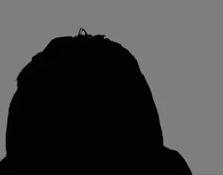 🌟 9ec7969e telegram sticker