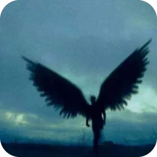 🫥 b64d5cc3 ангел, крылья, силуэт, небо, темный, мрачный, фигура, фэнтези telegram sticker