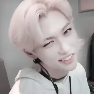 #𝐯𝐥𝐨𝐠: felix ;: by @paradismaudit telegram stickers