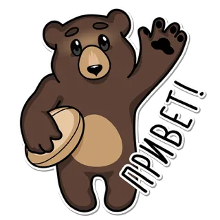 👋 55fff9f9 ПРИВЕТ! くま, こんにちは, 挨拶, かわいい, フレンドリー whatsapp sticker
