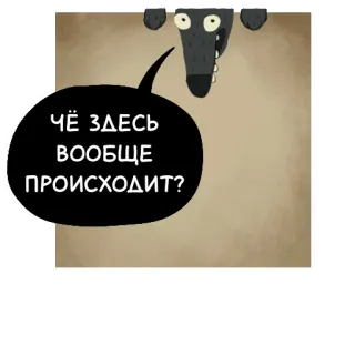 🤔 4f64709b ЧЁ ЗДЕСЬ ВООБЩЕ ПРОИСХОДИТ? หมาป่า, คำถาม, สับสน, สัตว์ telegram sticker