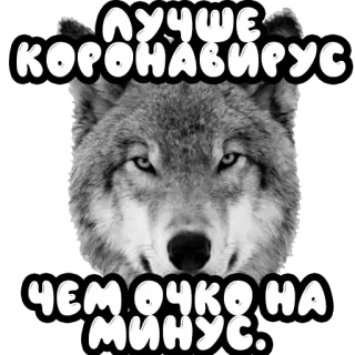 Волки @stickernayaa telegram stickers