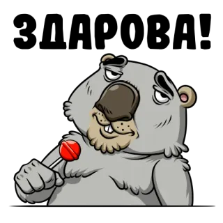 👋 dd56cadc cartone animato, animale, orso, lecca-lecca, sorrisetto, divertente, umorismo telegram sticker