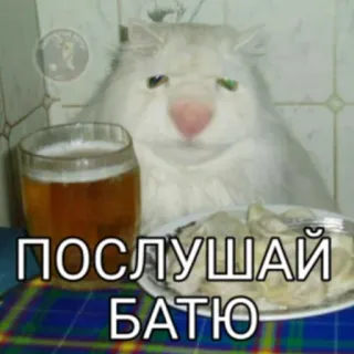 🍺 d153128e ПОСЛУШАЙ БАТЮ mèo, bia, đồ ăn, chữ, meme, Nga telegram sticker