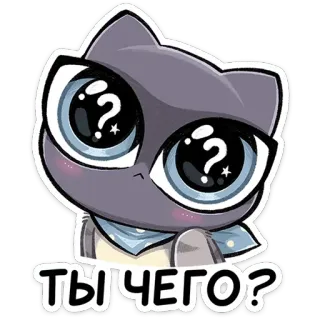 🤨 615b19bb ТЫ ЧЕГО? cat, question, cute, animal telegram sticker