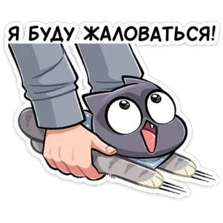⭐ bb10e121 Я БУДУ ЖАЛОВАТЬСЯ! cat, animal, cartoon, cute, funny, russian, meme telegram sticker