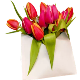 8.03 @StikerDi telegram stickers