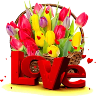 💐 30da03c5 LOVE 爱, 花, 郁金香, 篮子, 浪漫, 心 telegram sticker