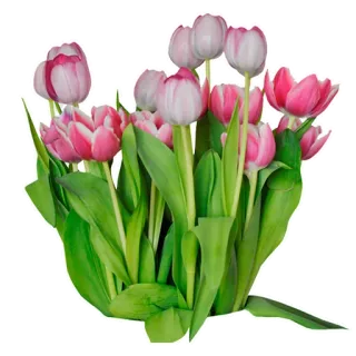 🌷 f9dae9e9 tulip, bunga, buket, merah muda, musim semi, berbunga, alam telegram sticker