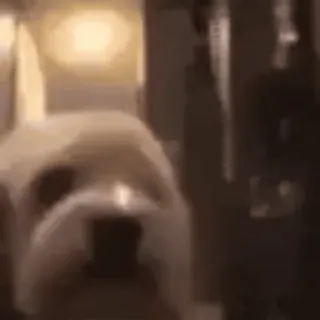 😁 b417a9dc anjing, binatang, hewan peliharaan, lucu, mamalia telegram sticker