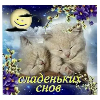 🐱 103ab409 сладеньких снов Katzen, Schlaf, Nacht, Mond, Blumen, süß, Tiere telegram sticker