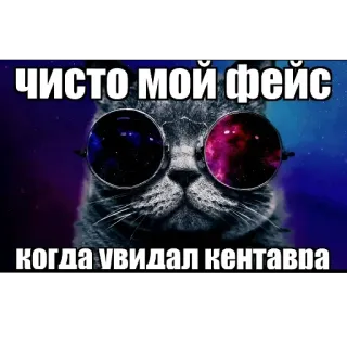 🖼 451479d3 чисто мой фейс
когда увидал кентавра Katze, Meme, Lustig, Brille, Tier telegram sticker