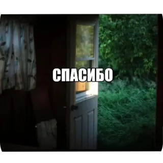 👍 85c3b68c СПАСИБО danke, tür, wald, natur telegram sticker