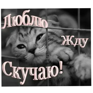 Вознесение | @emojis4 @e4zybot whatsapp stickers