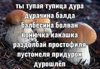 ☺️ acc8d199 ты тупая тупица дура
Дурачина балда
балбесина болван
вонючка какашка
раздолбай простофиля
пустомеля придурок
дурошлёп Beleidigungen, Pilze, beleidigend, russisch telegram sticker