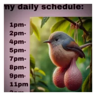 🐦 f8c63f02 my daily schedule:
1pm-
2pm-
4pm-
5pm-
7pm-
8pm-
9pm.
11pm
3pm Vogel, Terminplan, Humor, Tier, Täglich, Lustig telegram sticker